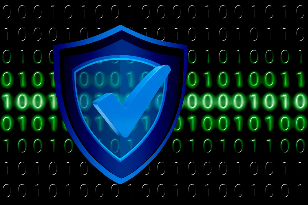 Vulnerabilidades